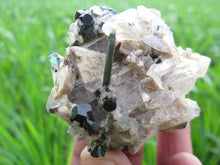 Wow Fantastic Green Tourmaline Crystal Specimen With Quartz or Micca