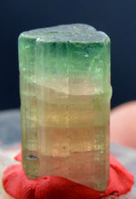 Well terminated bi-color tourmaline crystal with good luster from Afghanistan