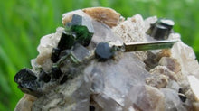 Wow Fantastic Green Tourmaline Crystal Specimen With Quartz or Micca