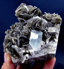 Awesome Terminated and Damage Free Equamarine Crystal Specimen With Mica