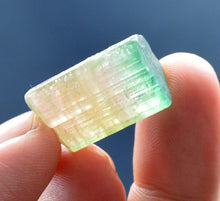 Well terminated bi-color tourmaline crystal with good luster from Afghanistan