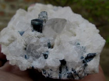 Awesome Blue Cap Tourmaline Crystal Specimen With Quartz or Alblite