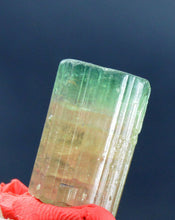 Well terminated bi-color tourmaline crystal with good luster from Afghanistan