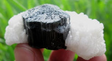 Beautiful Black Tourmaline Crystal Specimen With Albite