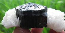 Beautiful Black Tourmaline Crystal Specimen With Albite