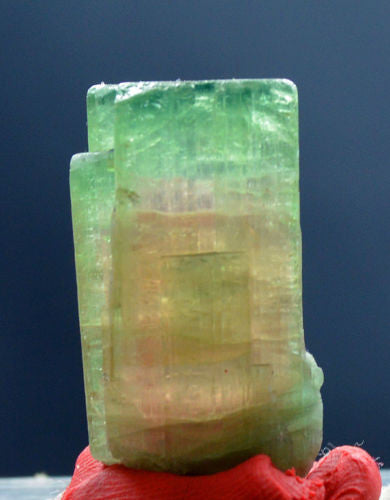 Well terminated bi-color tourmaline crystal with good luster from Afghanistan