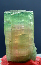 Well terminated bi-color tourmaline crystal with good luster from Afghanistan