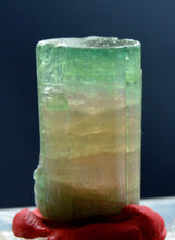 Well terminated bi-color tourmaline crystal with good luster from Afghanistan