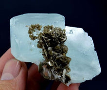 Exceptional Terminated Equamarine Crystal Combined With Mica from Nagar Pakistan