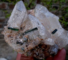 Beautiful Greenish Tourmaline Crystal Specimen With Quartz or Mica