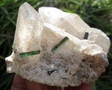 Beautiful Greenish Tourmaline Crystal Specimen With Quartz or Mica