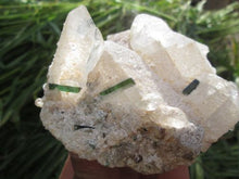 Beautiful Greenish Tourmaline Crystal Specimen With Quartz or Mica