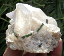 Beautiful Greenish Tourmaline Crystal Specimen With Quartz or Mica