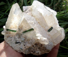 Beautiful Greenish Tourmaline Crystal Specimen With Quartz or Mica