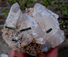 Beautiful Greenish Tourmaline Crystal Specimen With Quartz or Mica