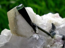 Beautiful Green Cap Tourmaline Crystal specimen With Quartz or Mica