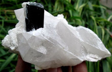 Beautiful Black Tourmaline Crystal specimen With Quartz or Albite