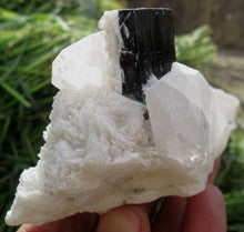 Beautiful Black Tourmaline Crystal specimen With Quartz or Albite