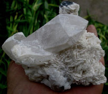 Beautiful Black Tourmaline Crystal specimen With Quartz or Albite